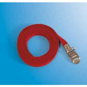2M Fixing Strap Carry Bike
